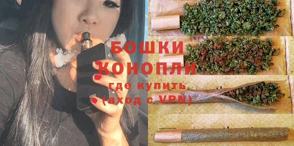 PSILOCYBIN Армянск