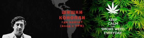 PSILOCYBIN Армянск