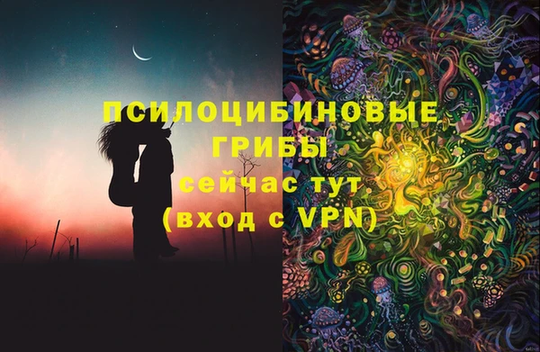 PSILOCYBIN Армянск