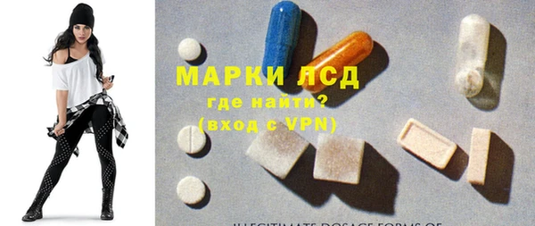 стафф Арсеньев
