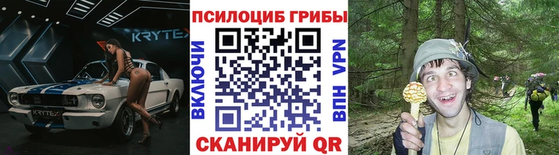 Псилоцибиновые грибы Psilocybine cubensis  Купить где  Сенгилей 